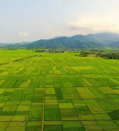 CÁNH ĐỒNG MƯỜNG THANH - TRÁI TIM CỦA ĐIỆN BIÊN